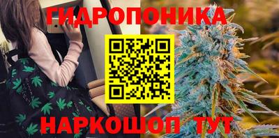 твердый Моздок
