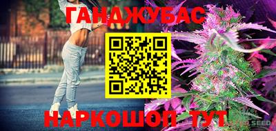 твердый Моздок