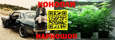 твердый Моздок