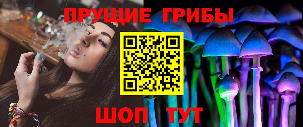 Борзя  Галлюциногенные грибы Cubensis  что такое   Вход с VPN 